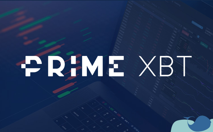 An In-Depth Review of PrimeXBT Exchange Your Guide to Trading Success
