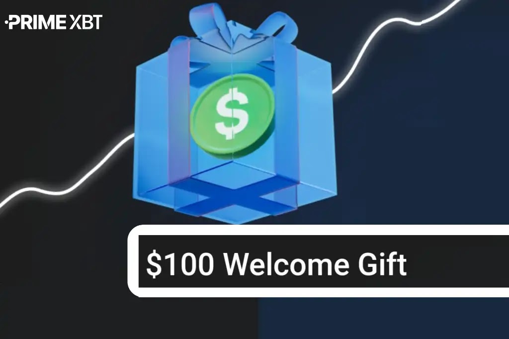 Discover the Advantages of PrimeXBT Crypto Broker 11 Discover the Advantages of PrimeXBT Crypto Broker 11